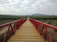 Pasarela peatonal que salva la carretera A-318